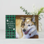 Pet Dog Naughty en Nice Green Black Pset Feestdagenkaart (Staand voorkant)