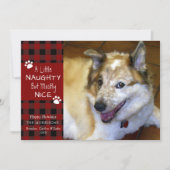 Pet Dog Naughty en Nice Red Black Pset Feestdagenkaart (Voorkant)