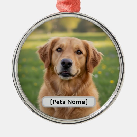 Pet Dog or Cat Custom Christmas Ornament 2025 (Voorkant)