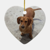Pet Dog Ornament (Achterkant)