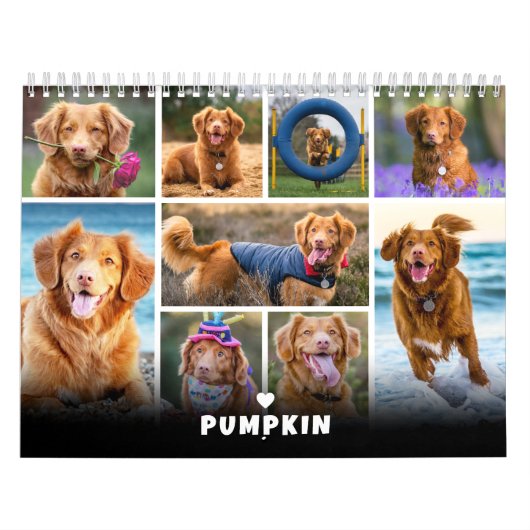 Pet Dog Photo Collage Kalender (Hoes)