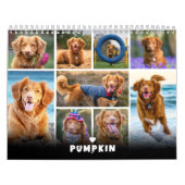 Pet Dog Photo Collage Kalender (Hoes)