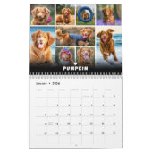 Pet Dog Photo Collage Kalender (Jan 2026)