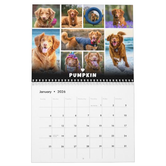 Pet Dog Photo Collage Kalender (Jan 2026)