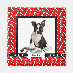 Pet Dog Portret Foto Sjabloon Magnet