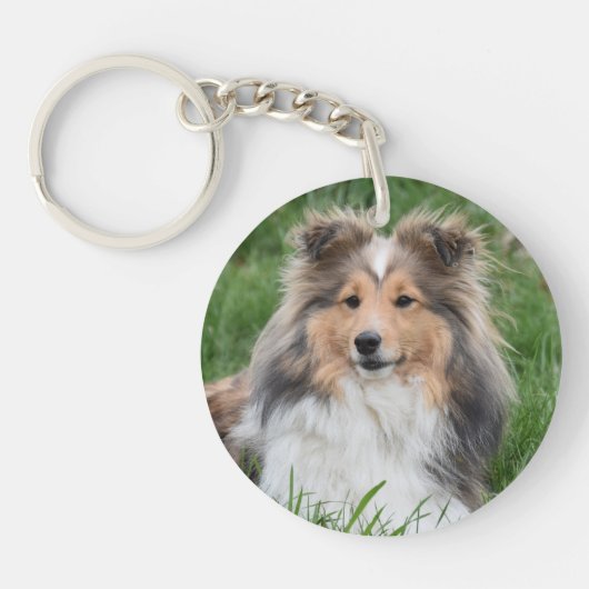 Pet Dog Rainbow Bridge Memorial Sleutelhanger (Voorkant)