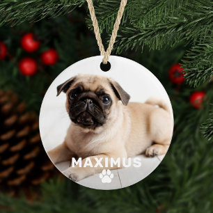 Pet Dog Simple Paw Print Custom Name Photo Ornament