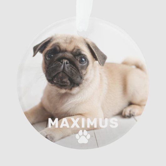 Pet Dog Simple Paw Print Custom Name Photo Ornament (voorkant)