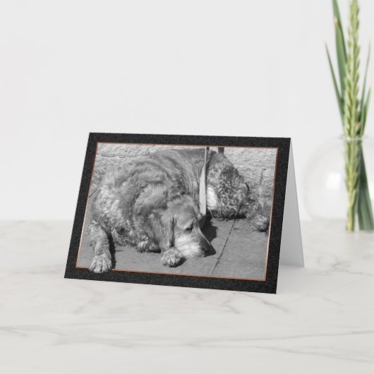 Pet Dog Sympathy Card Kaart (Voorkant)