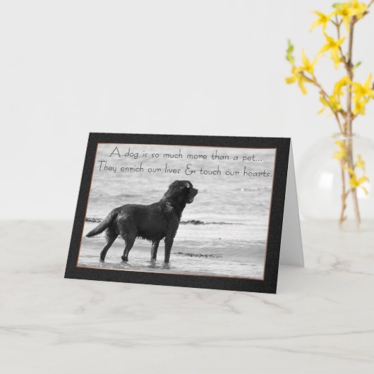 Pet Dog Sympathy Card - Raak ons hart aan Kaart (Gele Bloem)