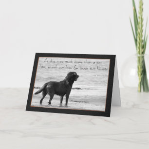 Pet Dog Sympathy Card - Raak ons hart aan Kaart