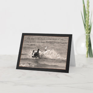 Pet Dog Sympathy Card - Raak ons hart aan Kaart