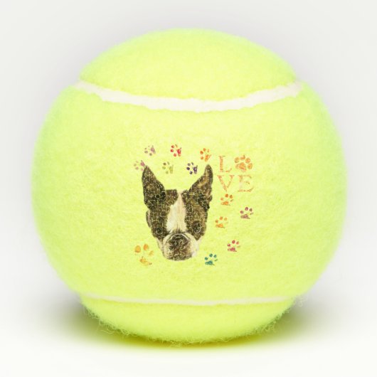 Pet Dog Tennisballen (Achterkant)