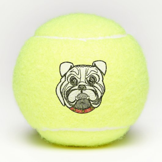 Pet Dog Tennisballen (Voorkant)