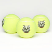 Pet Dog Tennisballen (Multi)