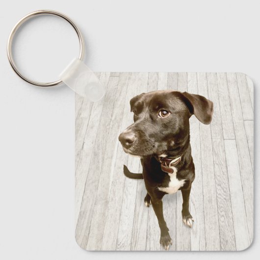 Pet Dog Two Photo Sleutelhanger (Voorkant)