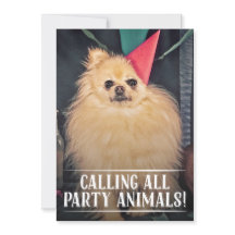 PET DOG'S BIRTHDAY PARTIJ FOTO INVITE