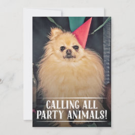 PET DOG'S BIRTHDAY PARTIJ FOTO INVITE KAART
