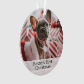 Pet Dogs First kerstfoto Ornament (voorkant)