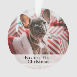Pet Dogs First kerstfoto Ornament