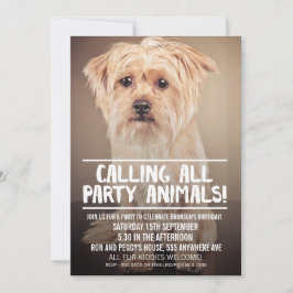 PET DOG'S PARTIJ PHOTO INVITE KAART