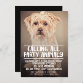 PET DOG'S PARTIJ PHOTO INVITE KAART (Voorkant / Achterkant)