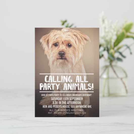 PET DOG'S PARTIJ PHOTO INVITE KAART (Staand voorkant)