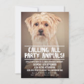 PET DOG'S PARTIJ PHOTO INVITE KAART (Voorkant)