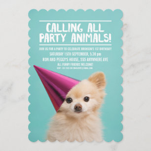 PET DOG'S PUPPY ARTIJ PHOTO INVITE KAART