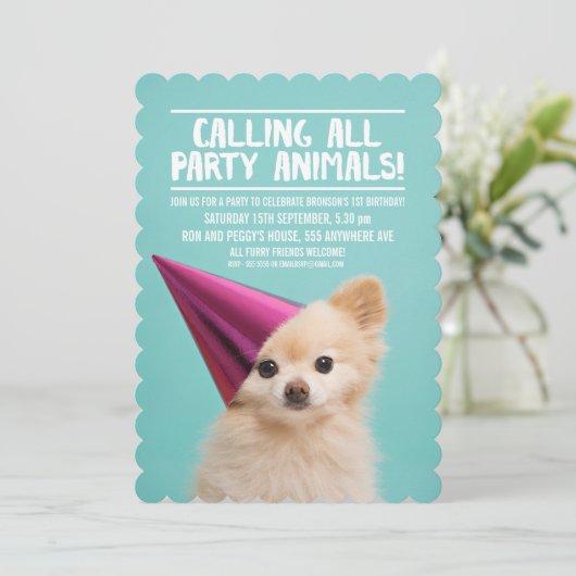 PET DOG'S PUPPY PARTY FOTO UITNODIGEN KAART (Staand voorkant)