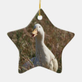 Pet Duck Ornament (Voorkant)