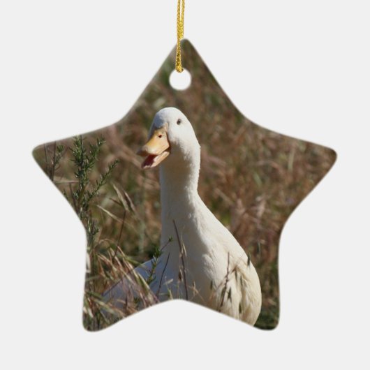 Pet Duck Ornament (Voorkant)