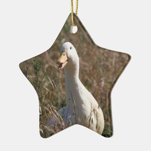 Pet Duck Ornament (Links)