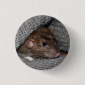 Pet Dumbo Rat Button / Badge (Voorkant)