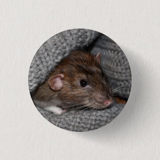 Pet Dumbo Rat Button / Badge (Voorkant)
