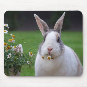 Pet Dutch Bunny Rabbit met Flowers Muismat