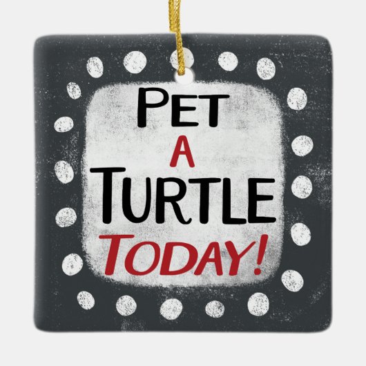 Pet een schildpad vandaag Ornament (Voorkant)