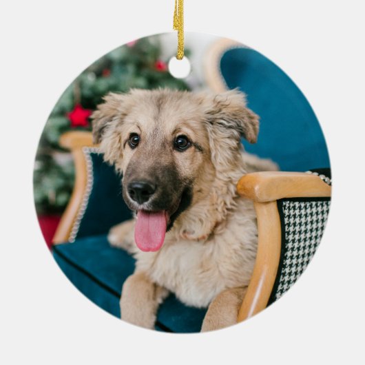Pet | Eerste kerstfoto van de hond Keramisch Ornament (Achterkant)