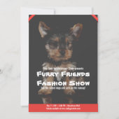Pet Fair Bewerkbare Fondsenwerving Flyer Adoptie U Kaart (Voorkant)
