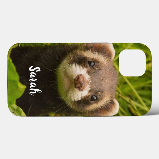 Pet Ferret in de gras Case-Mate iPhone Case (Achterkant (horizontaal))