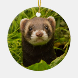 Pet Ferret in de gras Keramisch Ornament