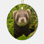 Pet Ferret in de gras Keramisch Ornament (Links)