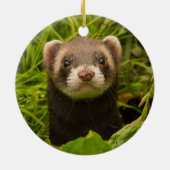Pet Ferret in de gras Keramisch Ornament (Achterkant)