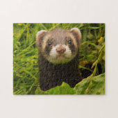 Pet Ferret in de gras Legpuzzel (Horizontaal)