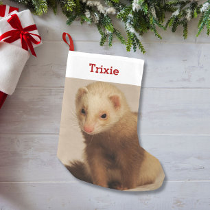 Pet Ferret Lover Foto en Naam op persoonlijke tite Kleine Kerstsok