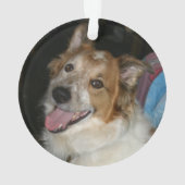 Pet FIRST CHRISTMAS 2-foto Red & Black Pset Ornament (achterkant)