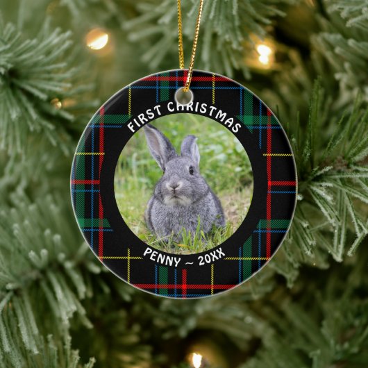 Pet FIRST CHRISTMAS-foto geplaatst op persoonlijke Keramisch Ornament (Boom)