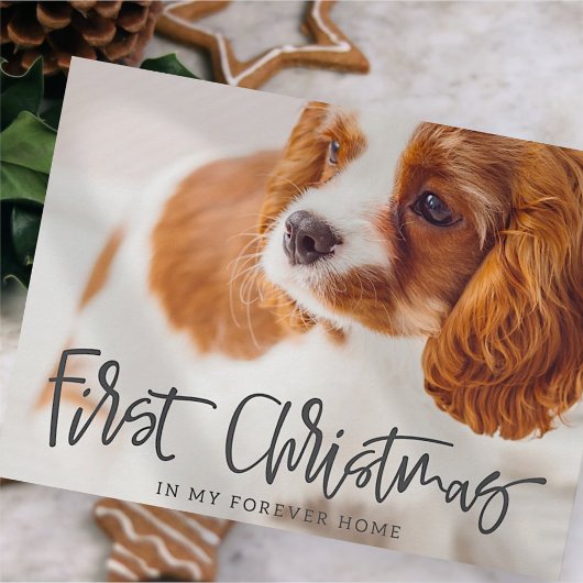 Pet First Kerstmis in Forever Home Foto Feestdagenkaart