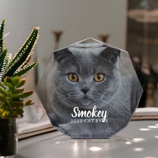 Pet-foto aangepast fotoblokken