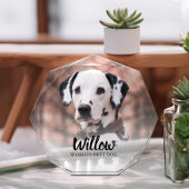 Pet-foto aangepast fotoblokken